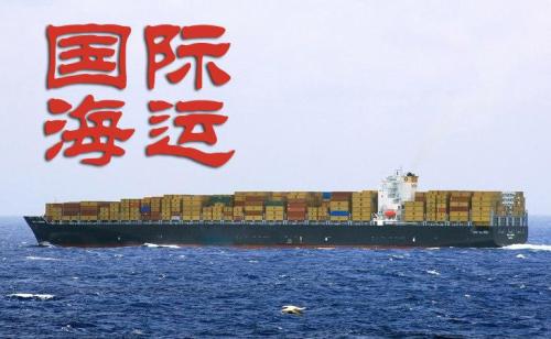 深圳市老司机国际物流有限公司